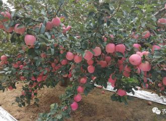 䌍㲻֪䠀80%@Щԭɵ